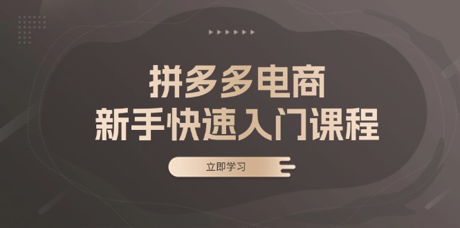 拼多多电商新手快速入门课程：涵盖基础、实战与选款，助力小白轻松上手-创薯资源