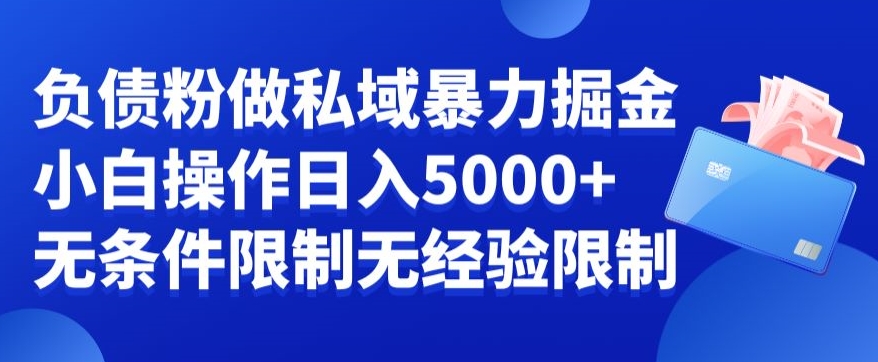 负债粉私域暴力掘金，小白操作入5000，无经验限制，无条件限制【揭秘】-创薯资源