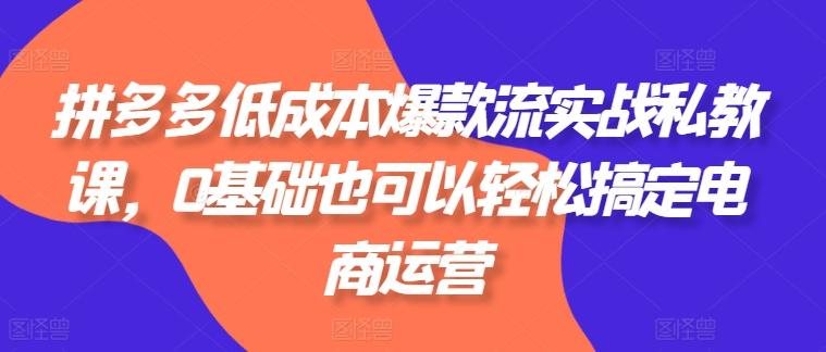 拼多多低成本爆款流实战私教课，0基础也可以轻松搞定电商运营-创薯资源