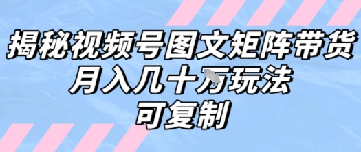 解密视频号图文矩阵带货，月入几个W的打法，可复制-创薯资源
