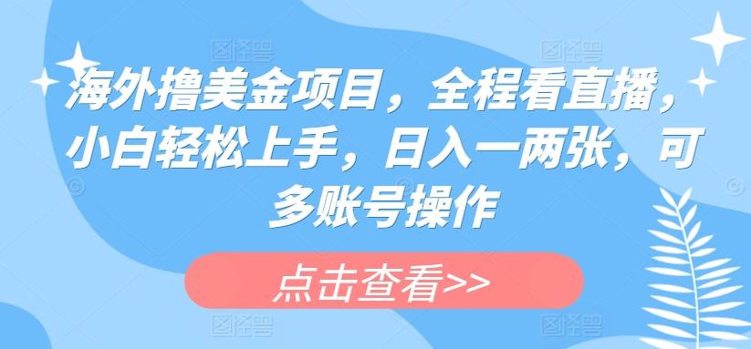 海外撸美金项目，全程看直播，小白轻松上手，日入一两张，可多账号操作【揭秘】-创薯资源