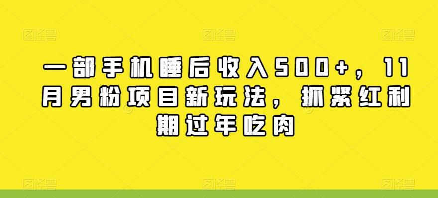 一部手机睡后收入500+，11月男粉项目新玩法，抓紧红利期过年吃肉-创薯资源