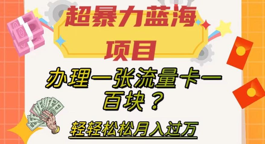 超暴力蓝海项目，办理一张流量卡一百块？轻轻松松月入过万，保姆级教程【揭秘】-创薯资源