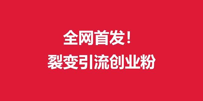 (全网首发)外面收费几千的裂变引流高质量创业粉-创薯资源