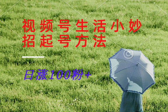 视频号生活小妙招分享赛道， 起号涨粉新方法，日涨100粉-创薯资源