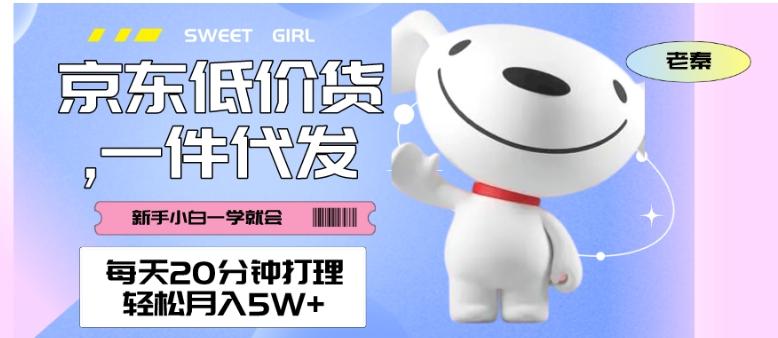 每天20分钟打理京东低价货，一件代发-轻松月入5W＋-创薯资源