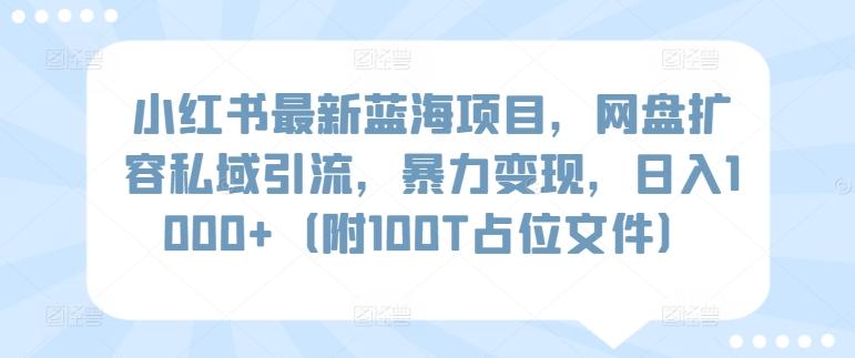 小红书最新蓝海项目，网盘扩容私域引流，暴力变现，日入1000+(附100T占位文件)【揭秘】-创薯资源
