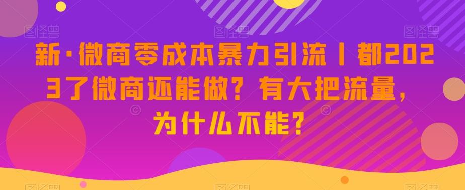 新·微商零成本暴力引流丨都2023了微商还能做？有大把流量，为什么不能？-创薯资源