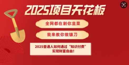 2025项目天花板普通人如何通过知识付费，实现财F自由【揭秘】-创薯资源